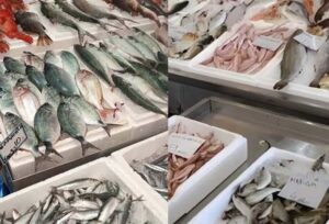 Συμφωνούν όλοι οι ειδικοί: Το πιο υγιεινό ψάρι που όλοι πρέπει να τpώμε τουλάχιστον 2 φορές την εβδομάδα
