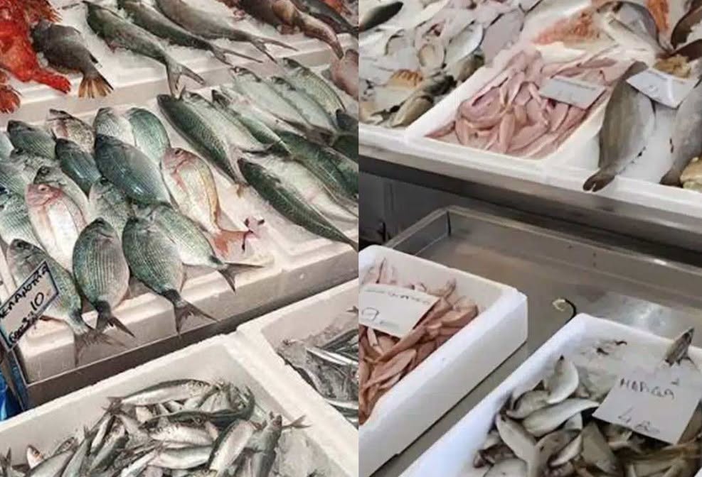 Συμφωνούν όλοι οι ειδικοί: Το πιο υγιεινό ψάρι που όλοι πρέπει να τpώμε τουλάχιστον 2 φορές την εβδομάδα