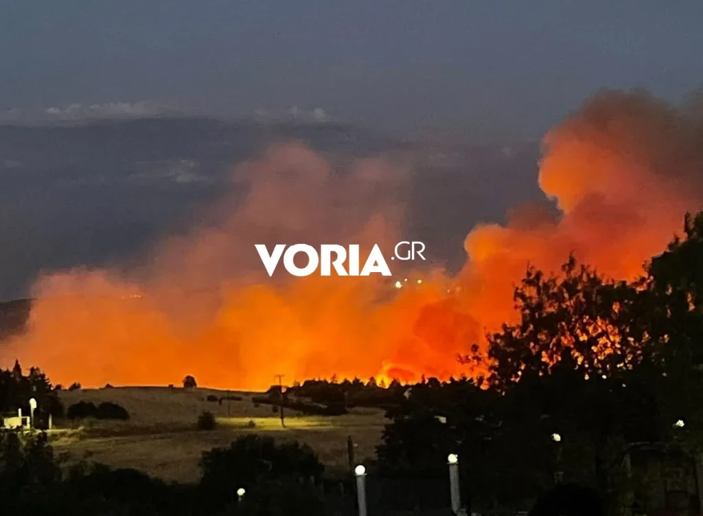 Μετατράπηκε σε πύρινη κόλαση η Θεσσαλονίκη – Σοκαριστικές εικόνες, καίγονται σπίτια και επιχειρήσεις – Σε  απόγνωση οι πυροσβέστες