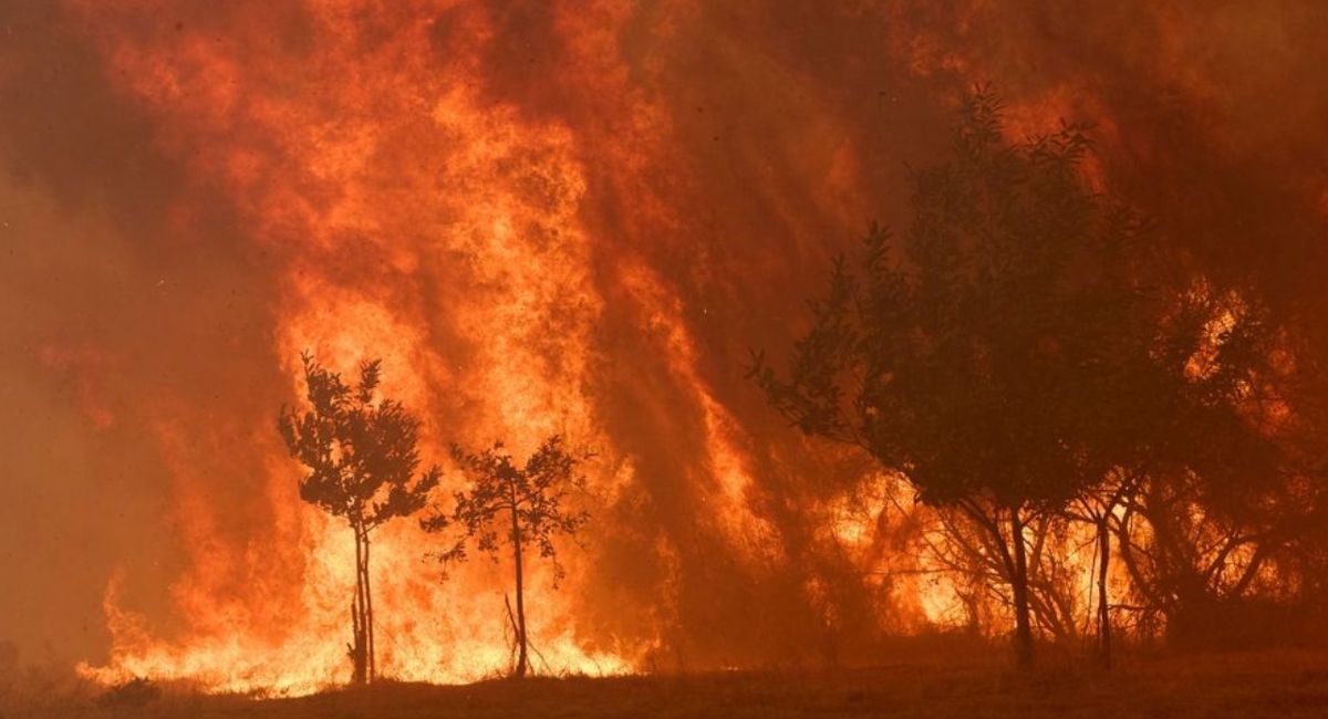 Πύρινος εφιάλτης μέσα στη νύχτα – Πάρα πολύ άνθρωποι αναγκάστηκαν και εγκατέλειψαν τα σπίτια τους