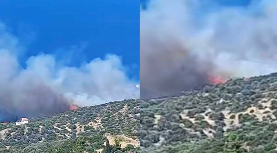 ΦΩΤΙΑ ΤΩΡΑ ΣΤΗ ΧΩΡΑ ΜΑΣ - ΣΥΝΑΓΕΡΜΟΣ ΣΤΗΝ ΠΥΡΟΣΒΕΣΤΙΚΗ