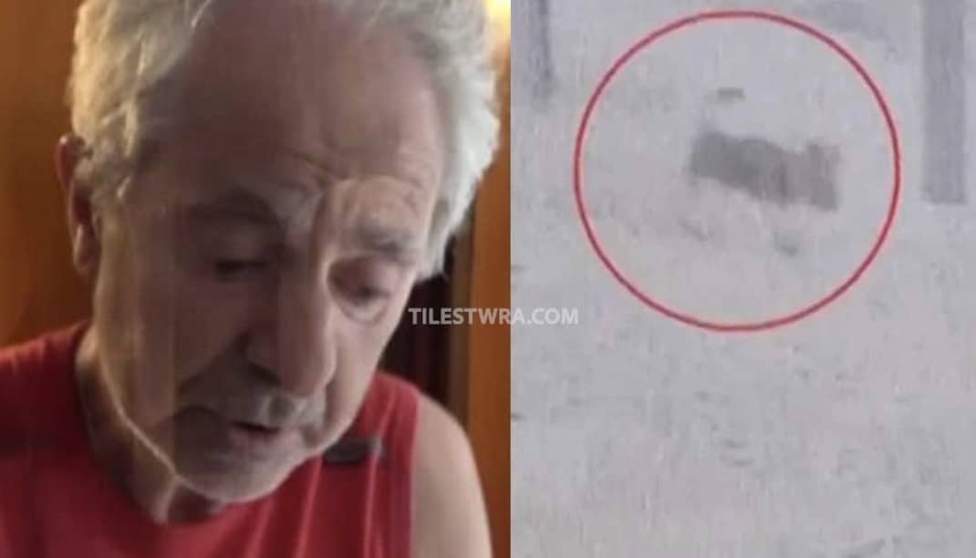Άγρια επίθεση σκύλου σε 66χρονο στα Βόρεια Προάστια - Τον τραυμάτισε σοβαρά, νεκρό το κατοικίδιο του - «Η ζωή μου όλη ο Μαξ» λέει ο ίδιος