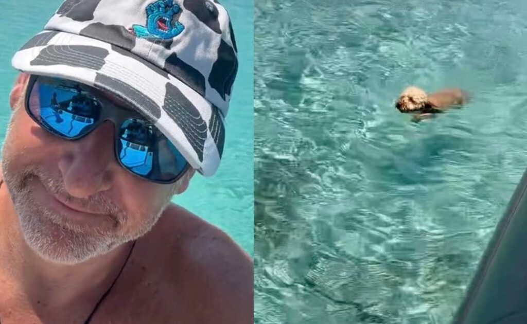 Γιώργος Λιάγκας: Καλοκαιρινή καλημέρα από το Αιγαίο με τη Φούσκα να απολαμβάνει τη βουτιά της – Σε ποιό νησί βρίσκεται
