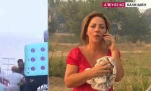 Φωτιά στη Σίβηρη: Επίθεση σε συνεργείο του MEGA – Χτύπησαν τη δημοσιογράφο, έσπασαν κινητά, μικρόφωνα