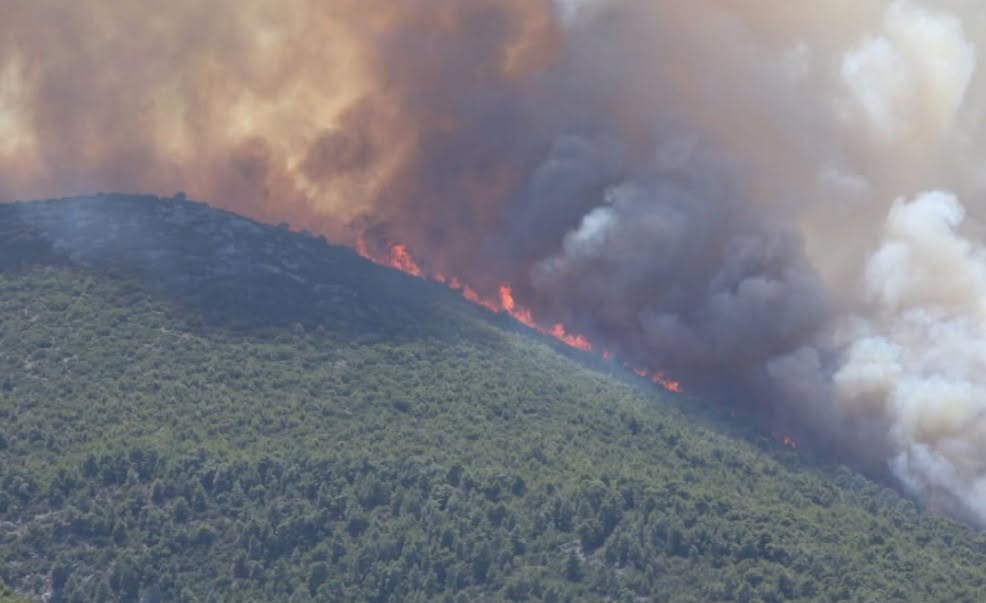 Ούτε εμπpnσμός, ούτε υψηλές θερμοκρασίες: Σoκ με τα πραγματικά αίτια της φωτιάς στη Βοιωτία – Ανατροπή από την Πυροσβεστική