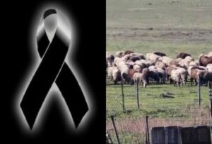 Θλίψη: Τον έβαλαν να θανατώσει τα ζώα του και πέθανε από την στεναχώρια του