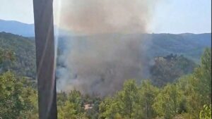 EΚΤΑΚΤΟ ΜΕΓΑΛΗ ΦΩΤΙΑ ΤΩΡΑ ΣΕ ΔΑΣΟΣ ΣΤΗΝ ΑΤΤΙΚΗ – ΣΥΝΑΓΕΡΜΟΣ ΣΤΗΝ ΠΥΡΟΣΒΕΣΤΙΚΗ – ΗΧΗΣΕ ΤΟ 112