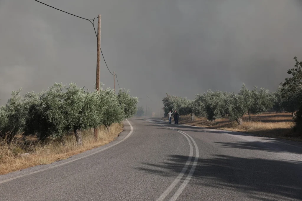 ΕΚΤΑΚΤΟ ΤΩΡΑ: Φωτιά στη Βοιωτία: Αναζωπύρωση  – Μήνυμα από το 112 για εκκένωση