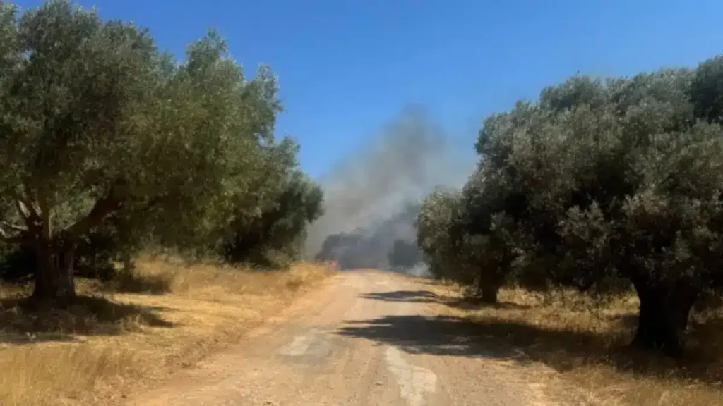 ΦΩΤΙΑ ΣΤΗΝ ΑΤΤΙΚΗ – ΒΡΕΘΗΚΕ ΑΠΑΝΘΡΑΚΩΜΕΝΗ ΣΟΡΟΣ