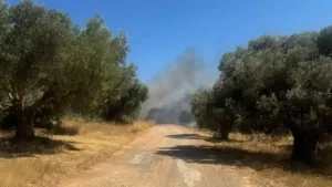 ΦΩΤΙΑ ΣΤΗΝ ΑΤΤΙΚΗ – ΒΡΕΘΗΚΕ ΑΠΑΝΘΡΑΚΩΜΕΝΗ ΣΟΡΟΣ