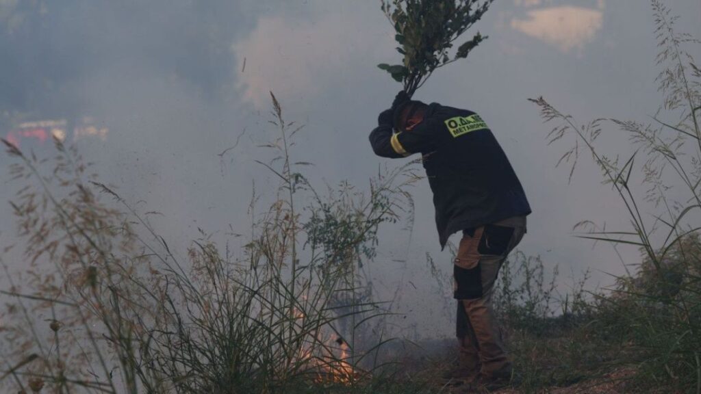 Νέα φωτιά στη χώρα μας: Μεγάλη κινητοποίηση της Πυροσβεστικής – Προβλήματα στην Ε.Ο.