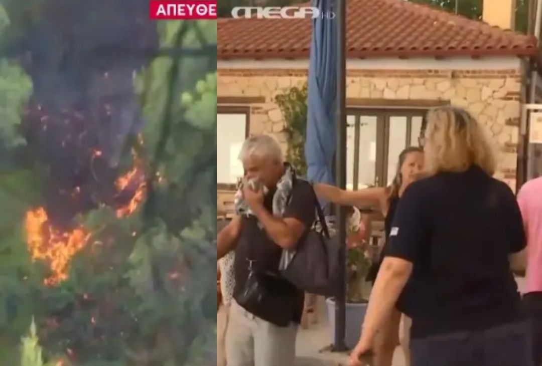 ΕΚΤΑΚΤΟ Επίθεση στο συνεργείο του MEGA που καλύπτει τη φωτιά στη Χαλκιδική - Bívτεo