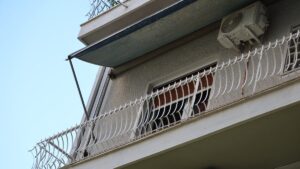 ΦΡΙΚΗ ΣΤΗΝ ΚΥΨΕΛΗ: ΤΟ ΦΡΙΚΙΑΣΤΙΚΟ ΠΑΙΧΝΙΔΙ ΠΟΥ ΒΡΕΘΗΚΕ ΣΤΟ ΣΠΙΤΙ ΤΟΥ ΝΕΚΡΟΥ ΒΡΕΦΟΥΣ