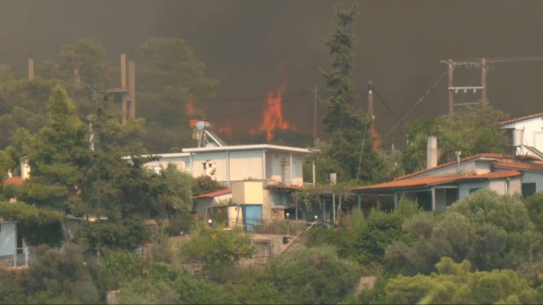 Σε πύρινο κλοιό η Δυτική Αττική – Εκκενώνεται η Ψάθα, παραδόθηκαν στις φλόγες τα πρώτα σπίτια – Καίγεται κτηνοτροφική μονάδα στα Μέγαρα