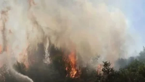 ΕΚΤΑΚΤΟ: Μεγάλη φωτιά τώρα – Ηχεί το 112