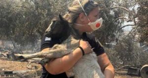 Βοιωτία: Η διοικήτρια του Α.Τ. Μάνδρας έσωσε κατσικάκι από τις φλόγες