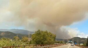 Φωτιά στο Σκάλωμα Φωκίδας – Εντολή για εκκένωση σε επτά οικισμούς, ενισχύθηκαν οι πυροσβεστικές δυνάμεις
