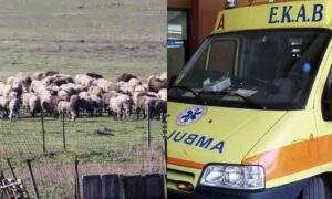 Θλίψη: Τον έβαλαν να θανατώσει τα ζώα του και πέθανε από την στεναχώρια του