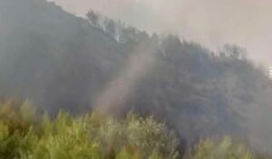 Εντυπωσιακό φαινόμενο στο Μουζάκι: Ανεμοστρόβιλος σχηματίστηκε μέσα στο πύρινο μέτωπο