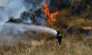 ΦΩΤΙΑ ΤΩΡΑ στην Αττική – Ισχυρές δυνάμεις της Πυροσβεστικής