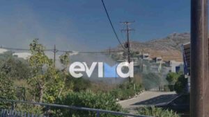 Κάρυστος: Φωτιά στον Αετό – Ήχησε το 112, σε ετοιμότητα οι κάτοικοι