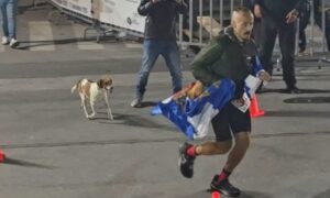 Σπάρταθλον 2026: Η σκυλίτσα που ακολούθησε αθλητή για περίπου 100 χιλιόμετρα μέχρι τη Σπάρτη