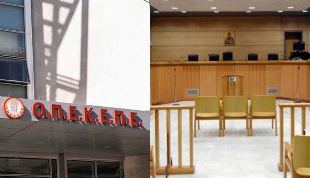 ΟΠΕΚΕΠΕ: Ένοχοι 19 από τους 22 – Τι αποφάσισε το δικαστήριο