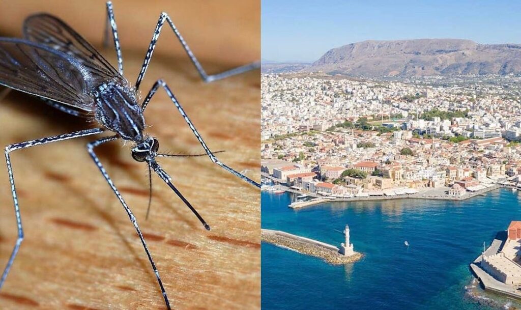 Χανιά: «Καταστράφηκαν οι διακοπές μου» – Τουρίστας ζητά αποζημίωση επειδή τον τσίμπησαν κουνούπια