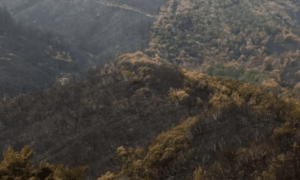 «Επίδομα μετακόμισης» έως 10.000 ευρώ – Ποιοι το δικαιούνται