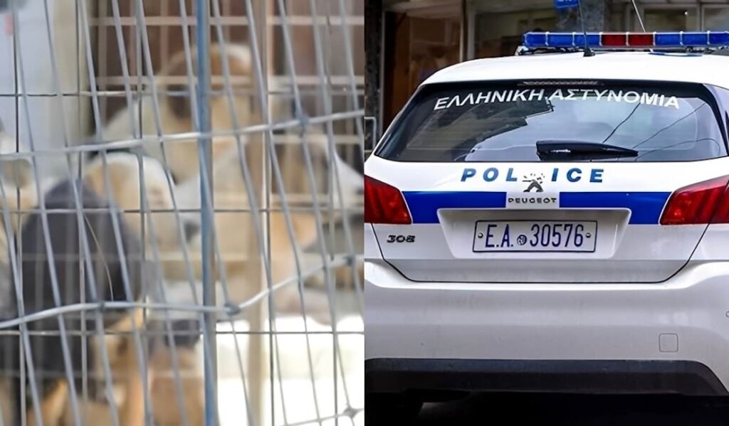 Είχε στο σπίτι της 120 σκυλιά, 70 γάτες και… 10 κατσίκες – Συνελήφθη 54χρονη